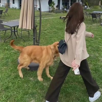 戎马香宵 在线观看
