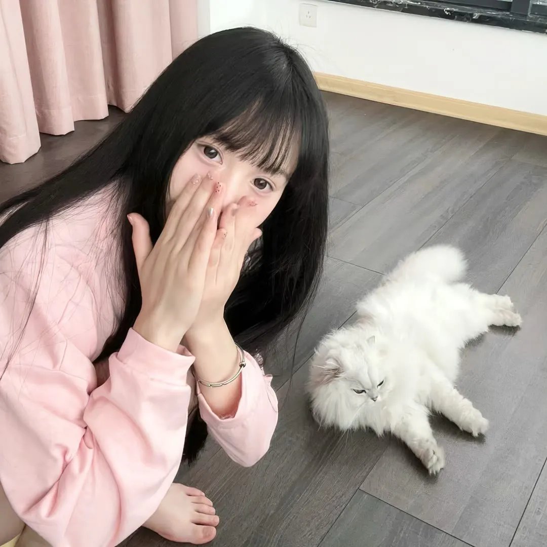 管道2020 在线观看