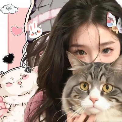 高速路上一只猫 在线观看